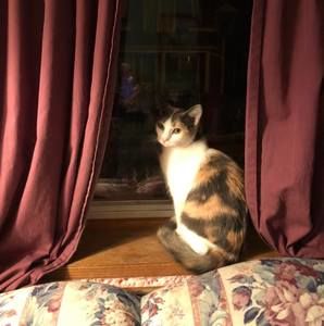 Meet your Posher, Darlene